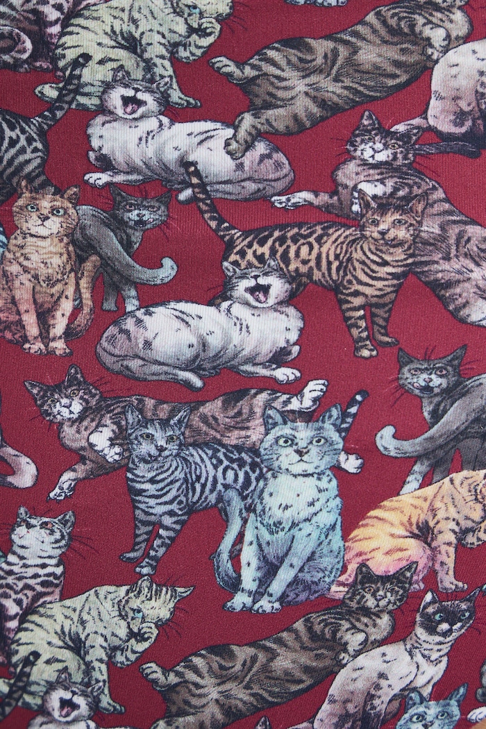 Figi damskie z motywem zwierzęcym 3-pack RW26-BID305