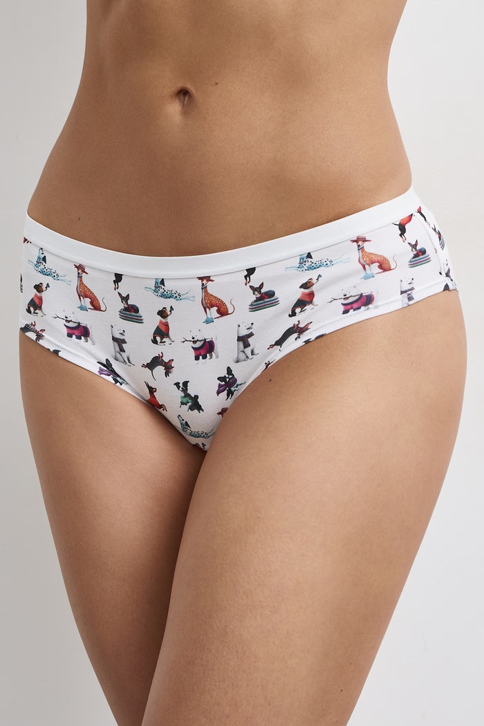 Figi damskie bawełniane z elastanem z motywem zwierzęcym 2-pack RW26-BID308
