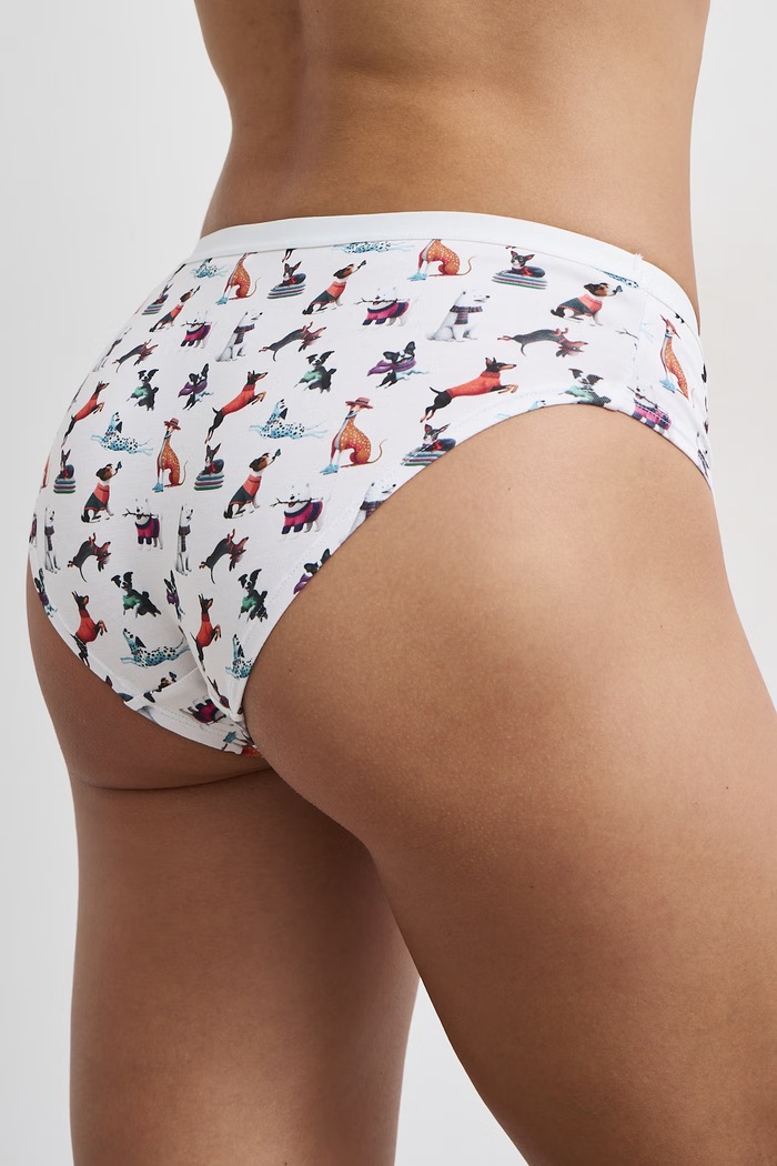 Figi damskie bawełniane z elastanem z motywem zwierzęcym 2-pack RW26-BID308