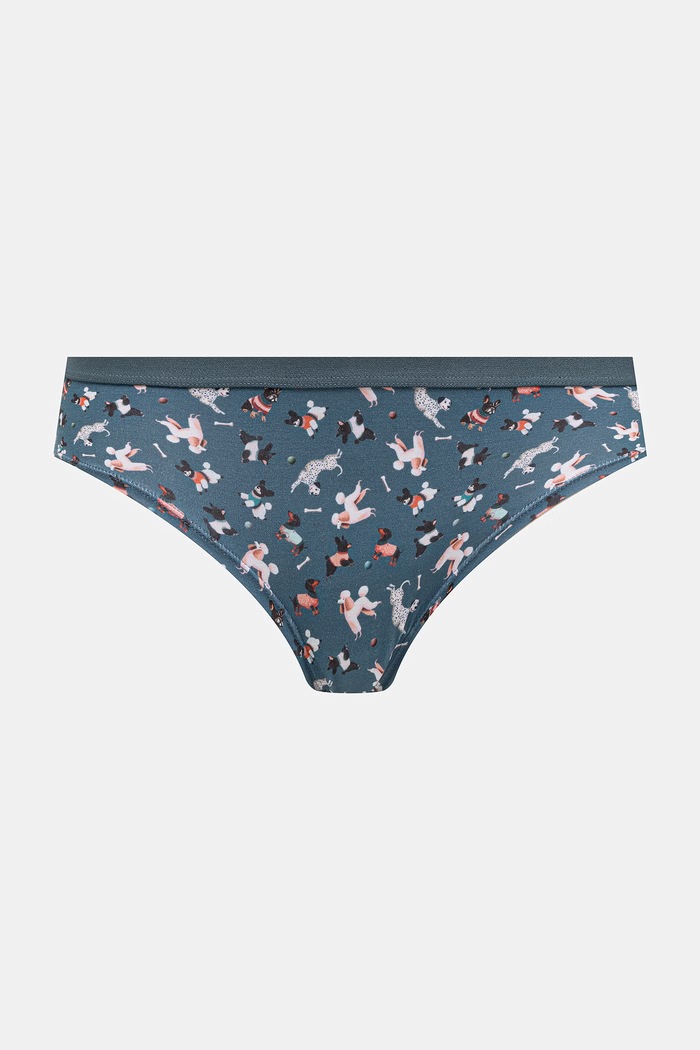 Odzież Figi damskie bawełniane z elastanem z motywem zwierzęcym 2-pack RW26-BID308 multicolor