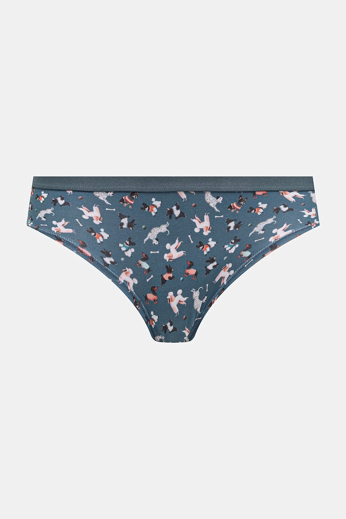 Odzież Figi damskie bawełniane z elastanem z motywem zwierzęcym 2-pack RW26-BID308 multicolor