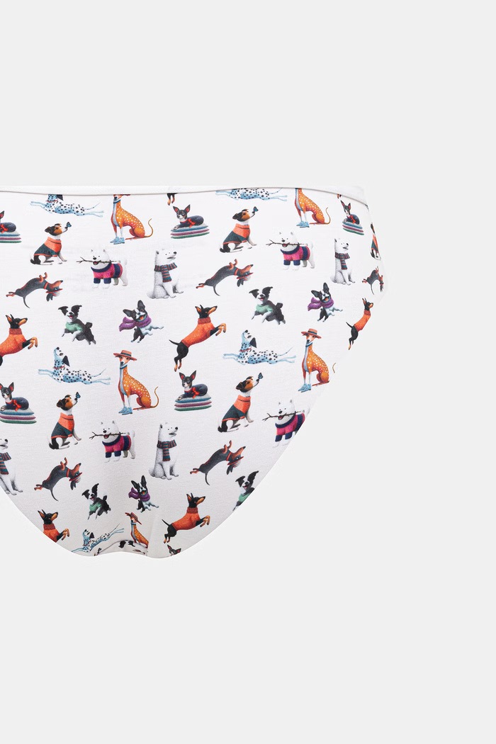 Figi damskie bawełniane z elastanem z motywem zwierzęcym 2-pack multicolor RW26-BID308