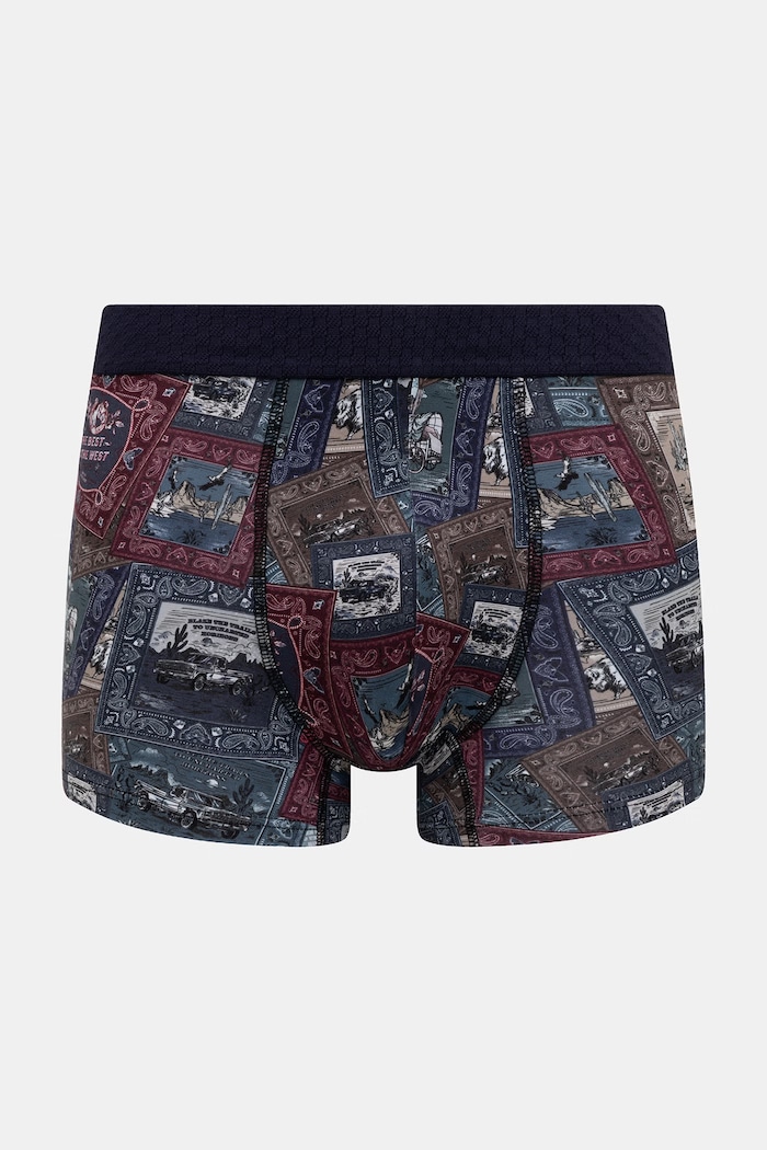 Bokserki dopasowane męskie bawełniane z elastanem 2-pack RW26-BIM303 multicolor RW26