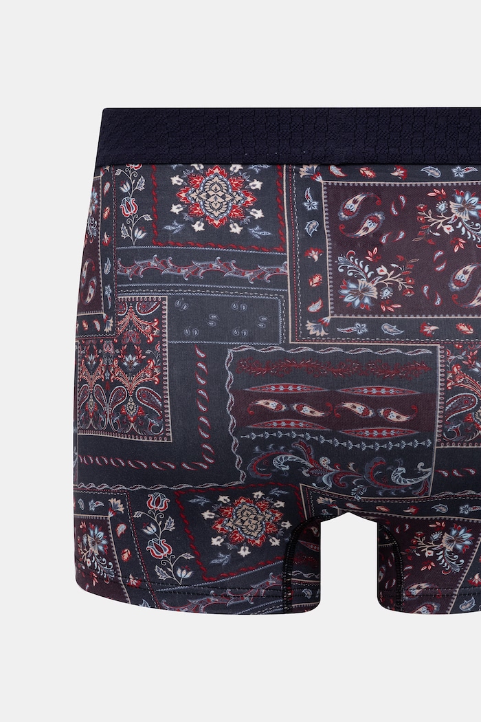 Bokserki dopasowane męskie bawełniane z elastanem 2-pack RW26-BIM303 multicolor