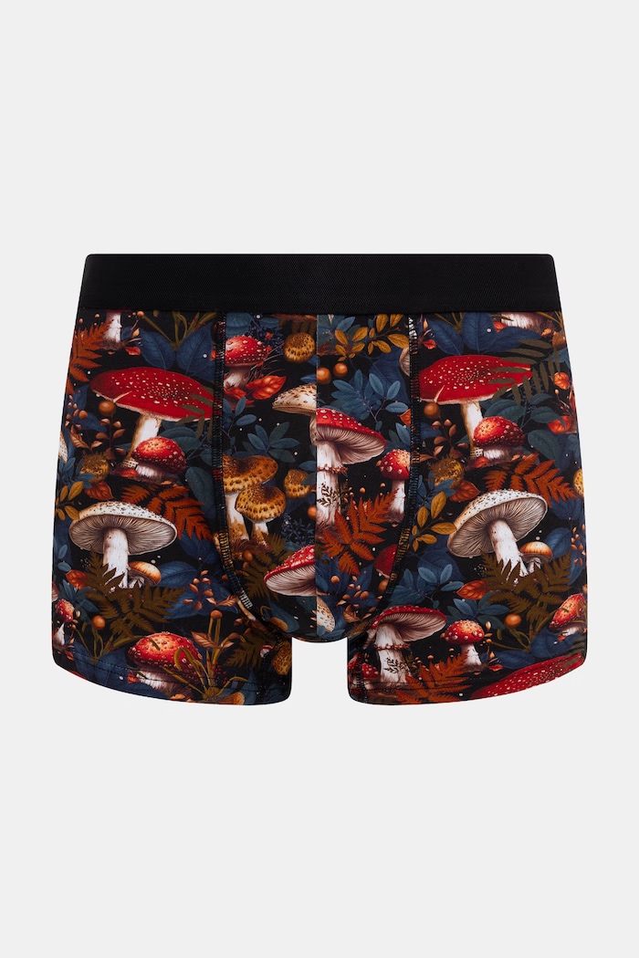 Bokserki dopasowane męskie bawełniane z elastanem 2-pack RW26-BIM600 multicolor RW26