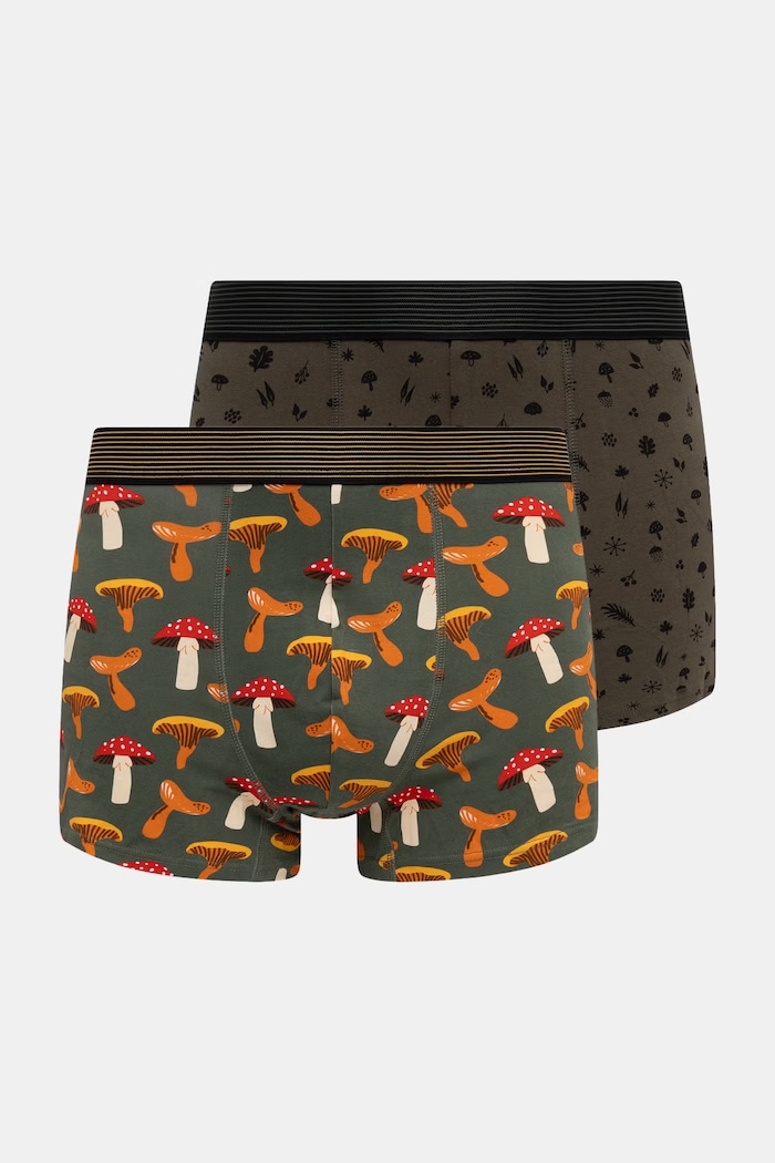 Bokserki dopasowane męskie bawełniane z elastanem 2-pack multicolor RW26-BIM605