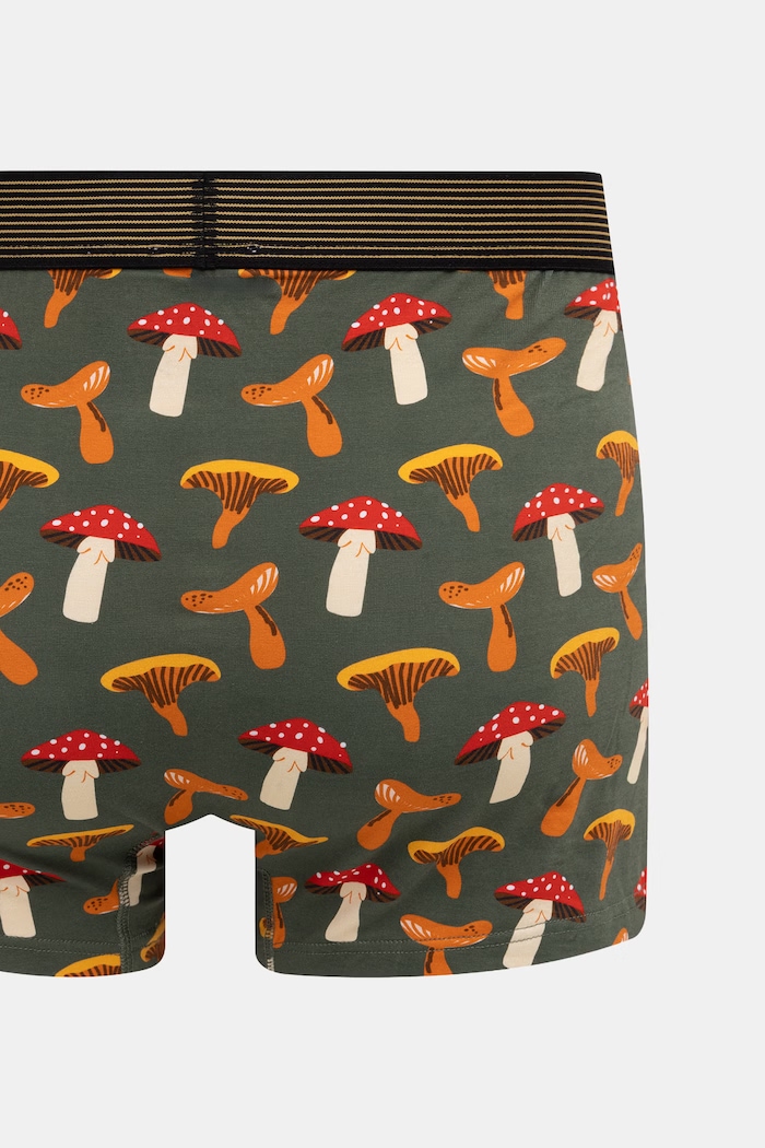 Bokserki dopasowane męskie bawełniane z elastanem 2-pack RW26-BIM605 multicolor