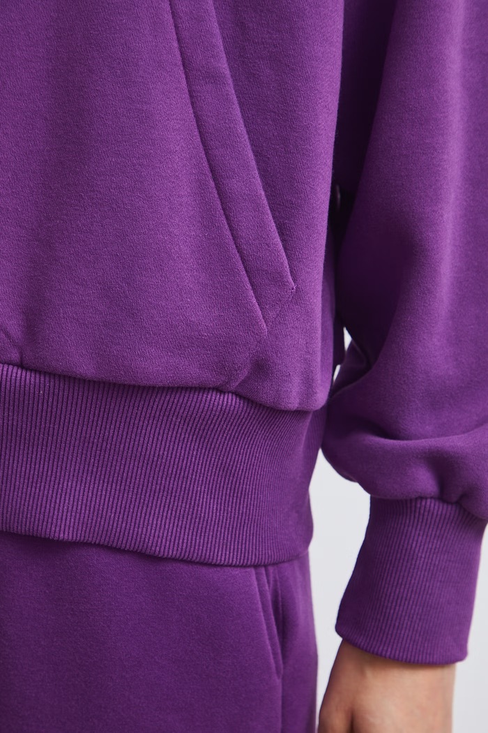 Bluza rozpinana z kapturem damska z bawełną gładka RW26-BLD031 fioletowy