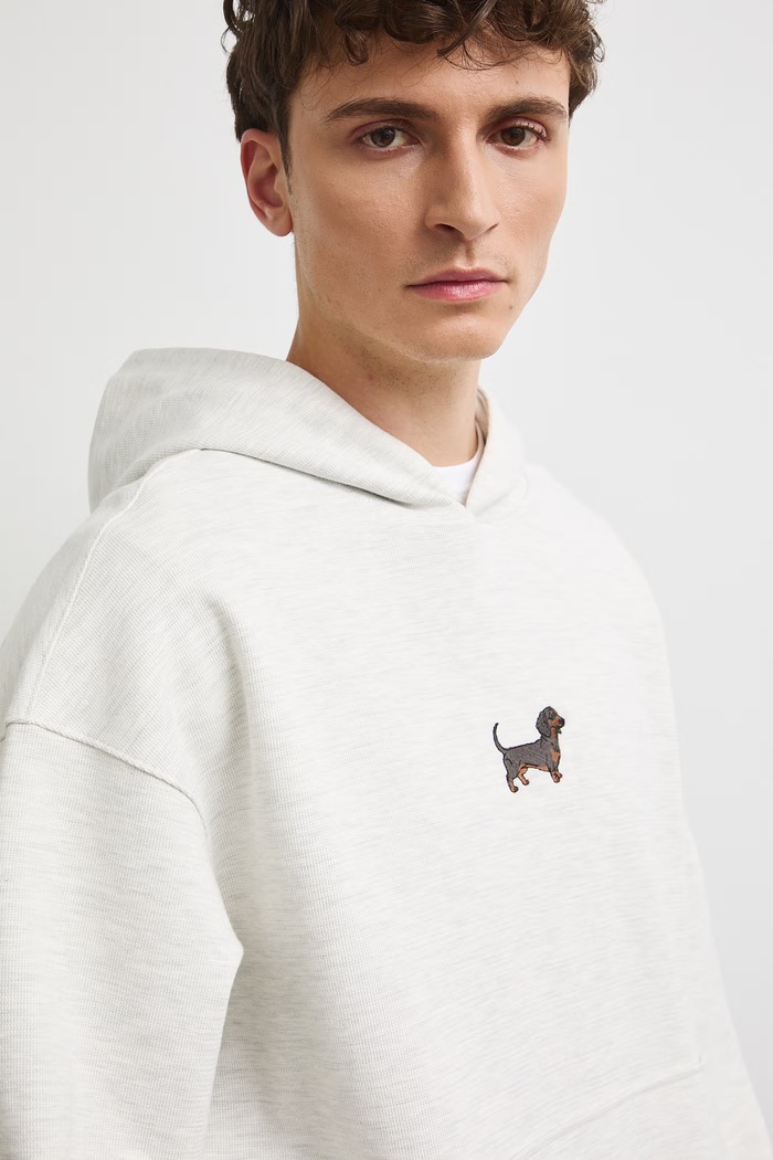 Bluza z kapturem męska z bawełną Medicine szary RW26-BLM350