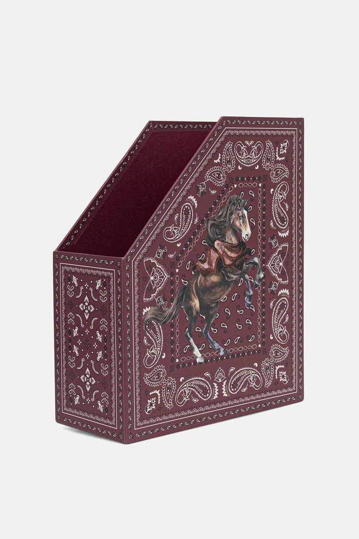 Medicine Organizer na biurko multicolor RW26-JEU302