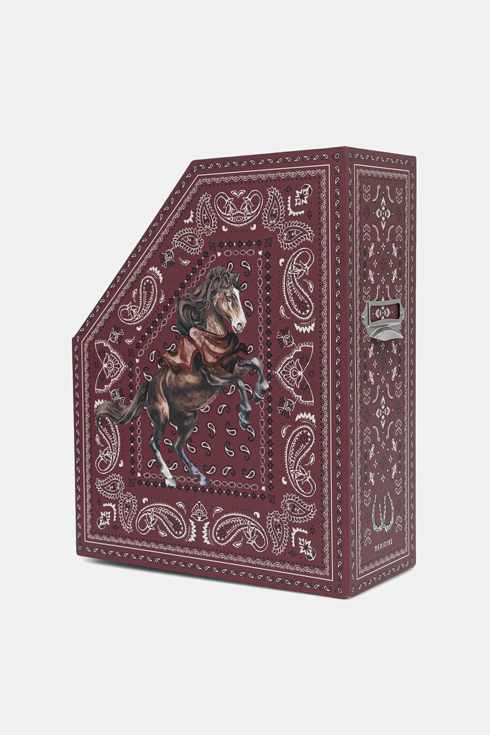 Medicine Organizer na biurko RW26-JEU302 multicolor RW26