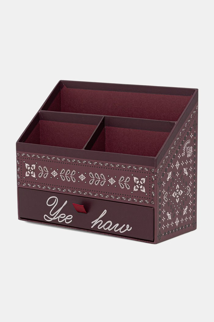 Medicine Organizer na biurko multicolor RW26-JEU303