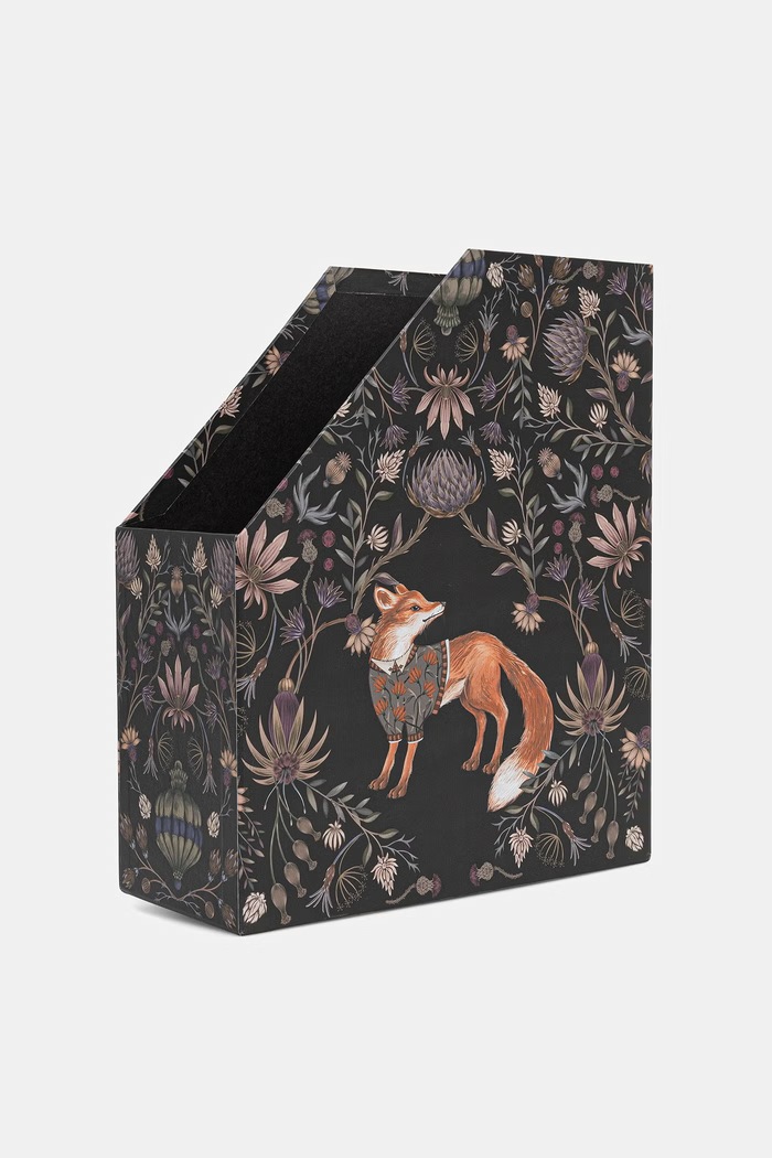 Medicine Organizer na biurko multicolor RW26-JEU409