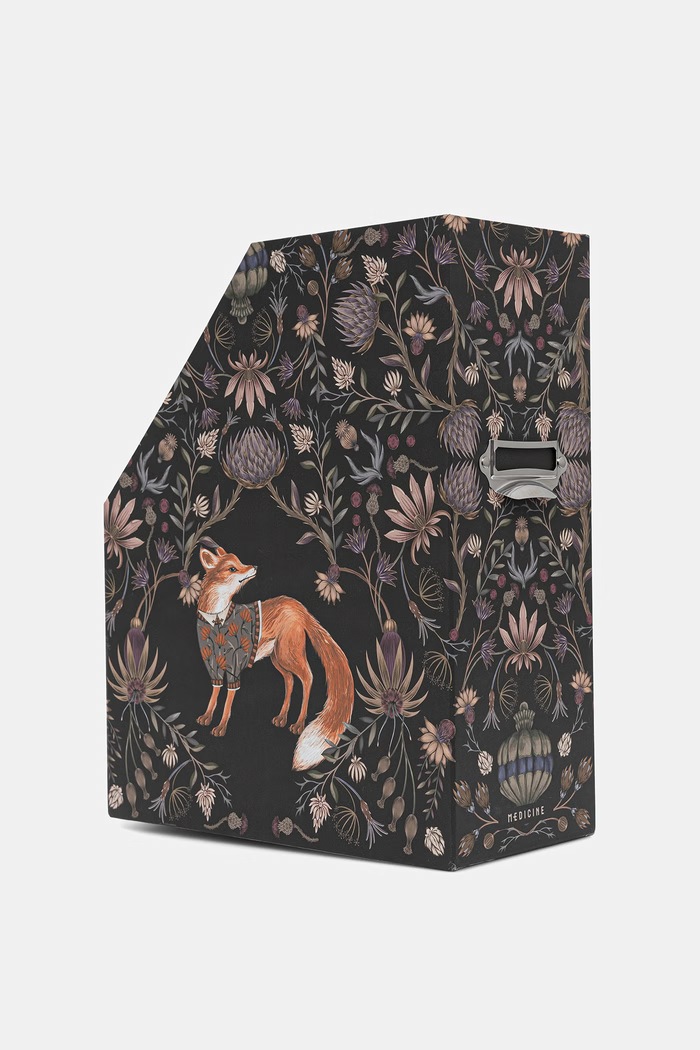 Medicine Organizer na biurko RW26-JEU409 multicolor RW26