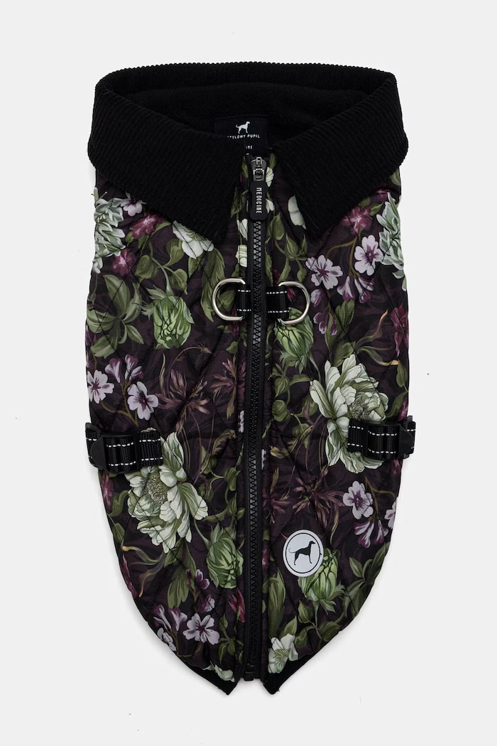 Medicine Kurtka dla pupila RW26-KUU902 multicolor RW26