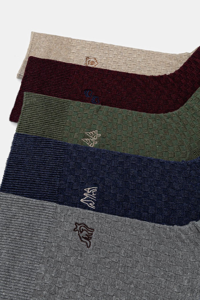 Skarpety męskie z bawełną z haftami 5-pack RW26-LGM507 multicolor RW26