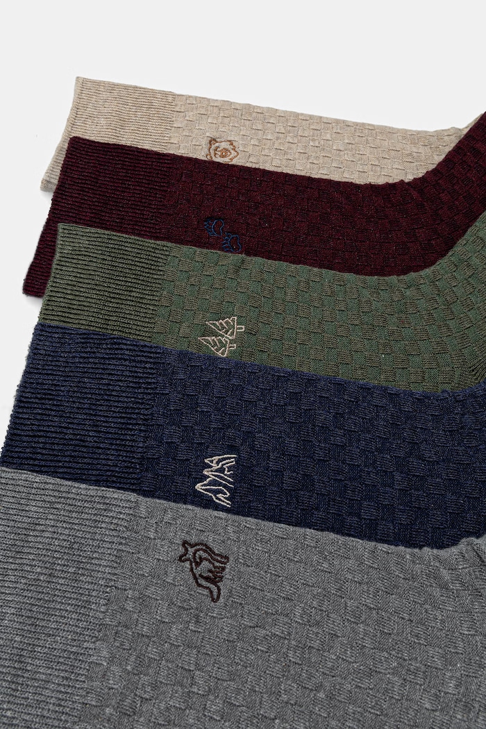 Skarpety męskie z bawełną z haftami 5-pack RW26-LGM507 multicolor RW26