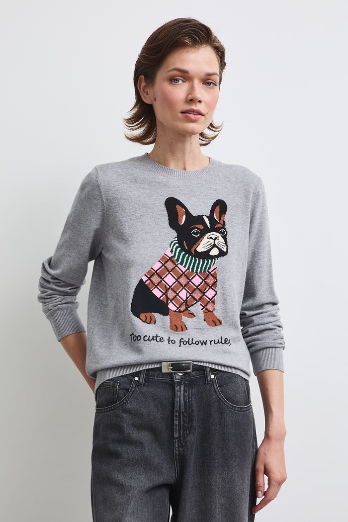Sweter damski z wiskozą z motywem zwierzęcym RW26-SWD402 szary RW26