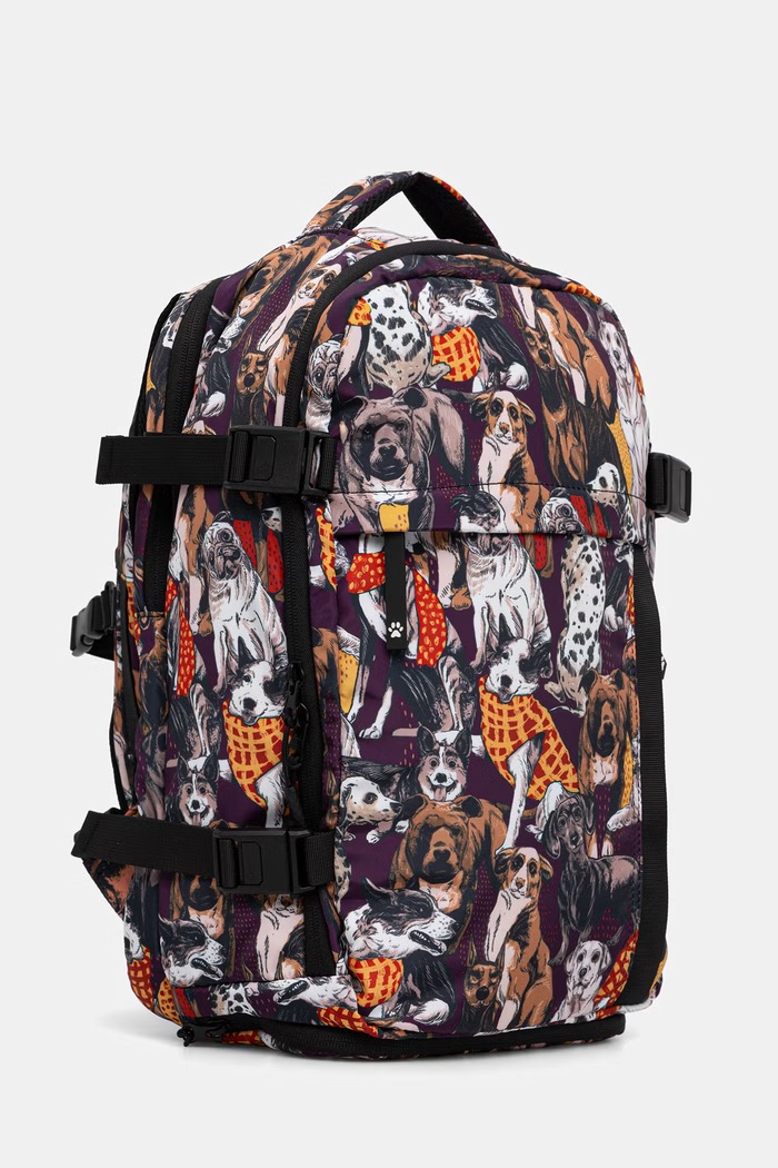 Plecak podróżny kabinowy damski z motywem zwierzęcym RW26-TPD401 multicolor RW26