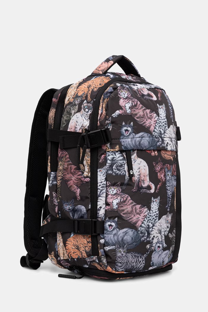 Plecak podróżny kabinowy damski z motywem zwierzęcym RW26-TPD401 multicolor RW26