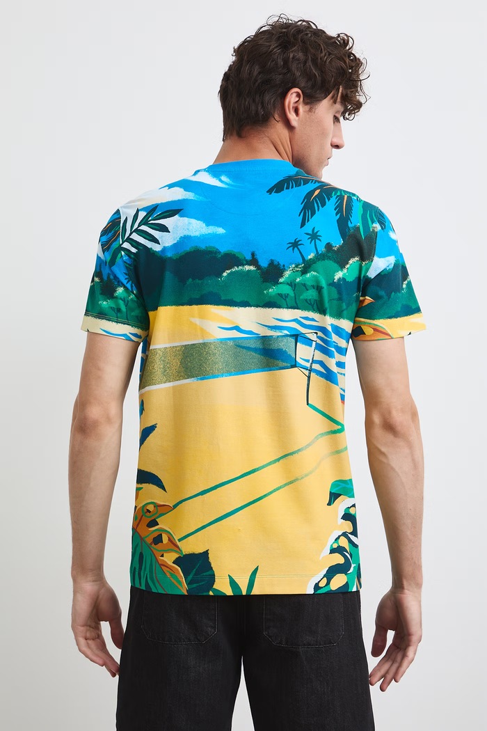 Odzież T-shirt męski bawełniany z elastanem RW26-TSM117 multicolor