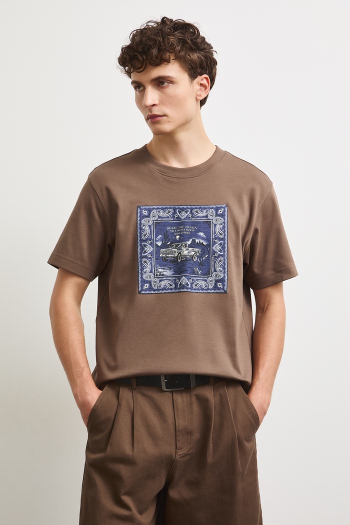 Medicine T-shirt męski bawełniany RW26-TSM301 brązowy RW26