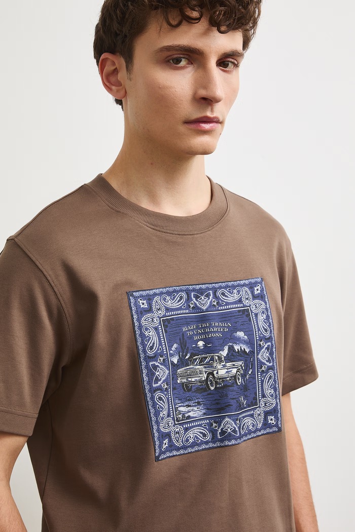 Medicine T-shirt męski bawełniany brązowy RW26-TSM301