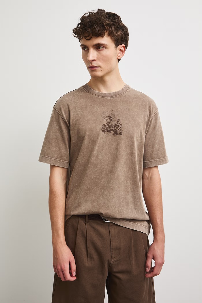 Odzież Medicine T-shirt męski bawełniany RW26-TSM304 brązowy