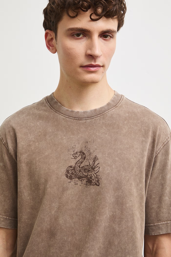 Medicine T-shirt męski bawełniany brązowy RW26-TSM304