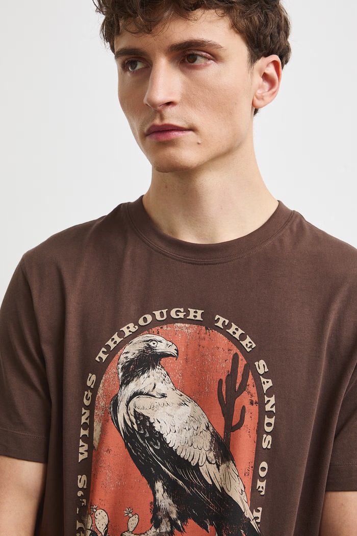 Medicine T-shirt męski bawełniany brązowy RW26-TSM306