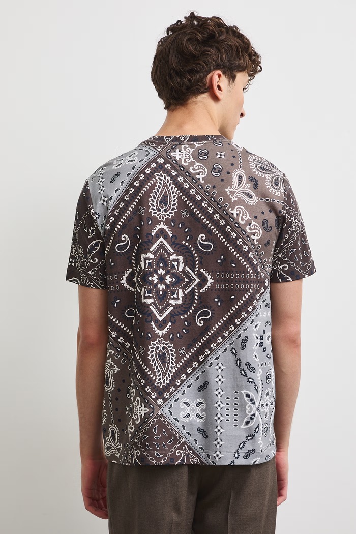 Odzież T-shirt męski bawełniany RW26-TSM308 multicolor