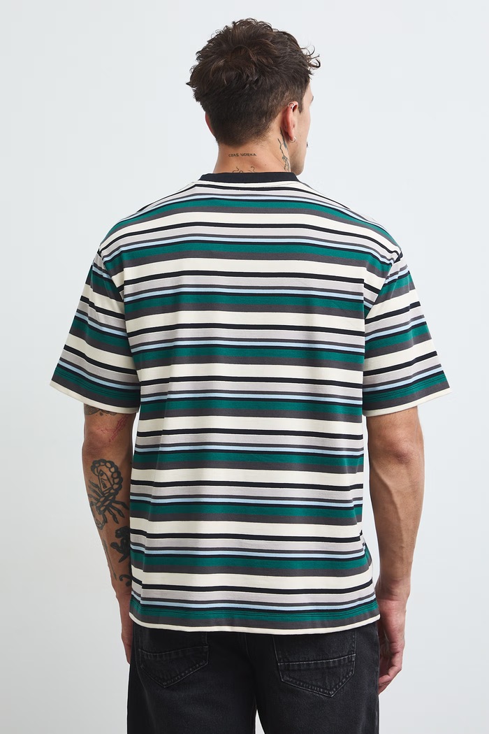 Odzież T-shirt męski bawełniany w paski heavyweight RW26-TSM401 multicolor