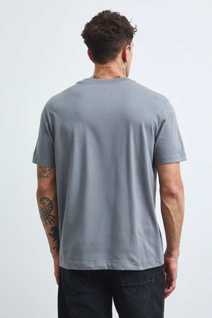 Odzież T-shirt męski bawełniany z nadrukiem RW26-TSM405 szary
