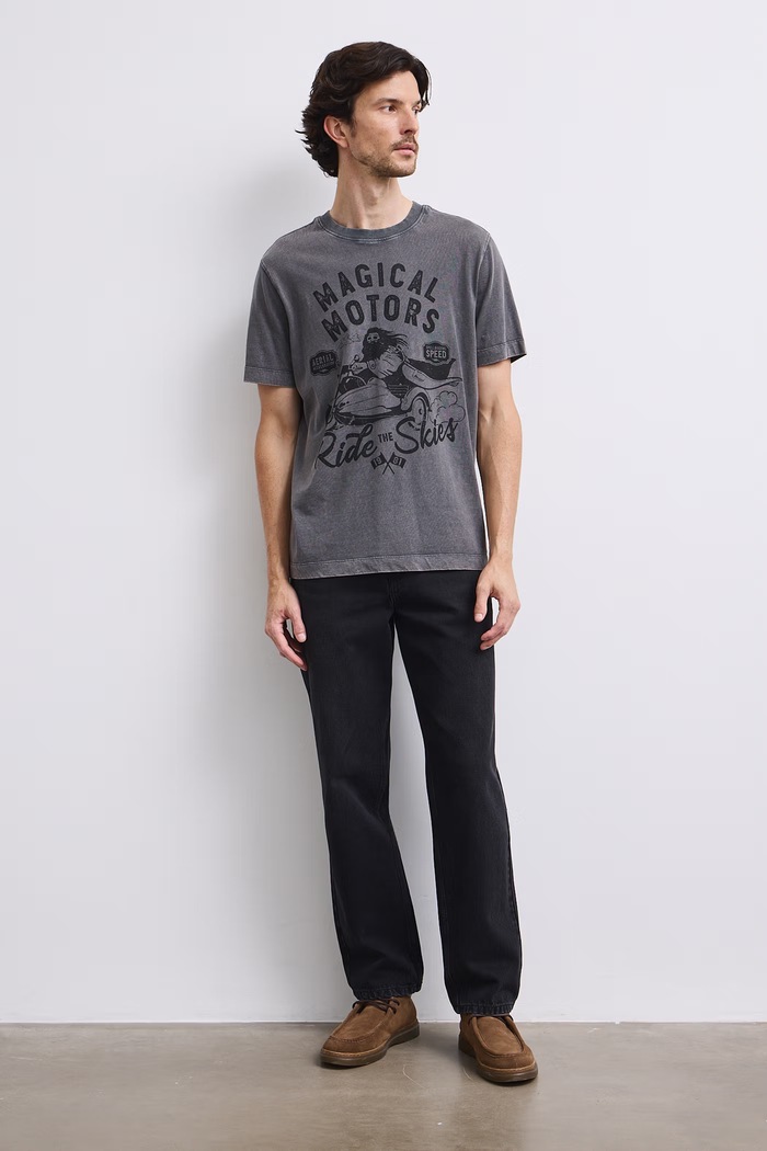 Medicine T-shirt męski bawełniany RW26-TSM675 szary RW26