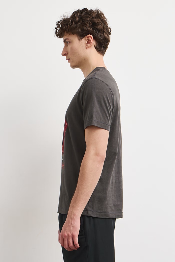 Odzież Medicine T-shirt męski bawełniany RW26-TSM854 szary