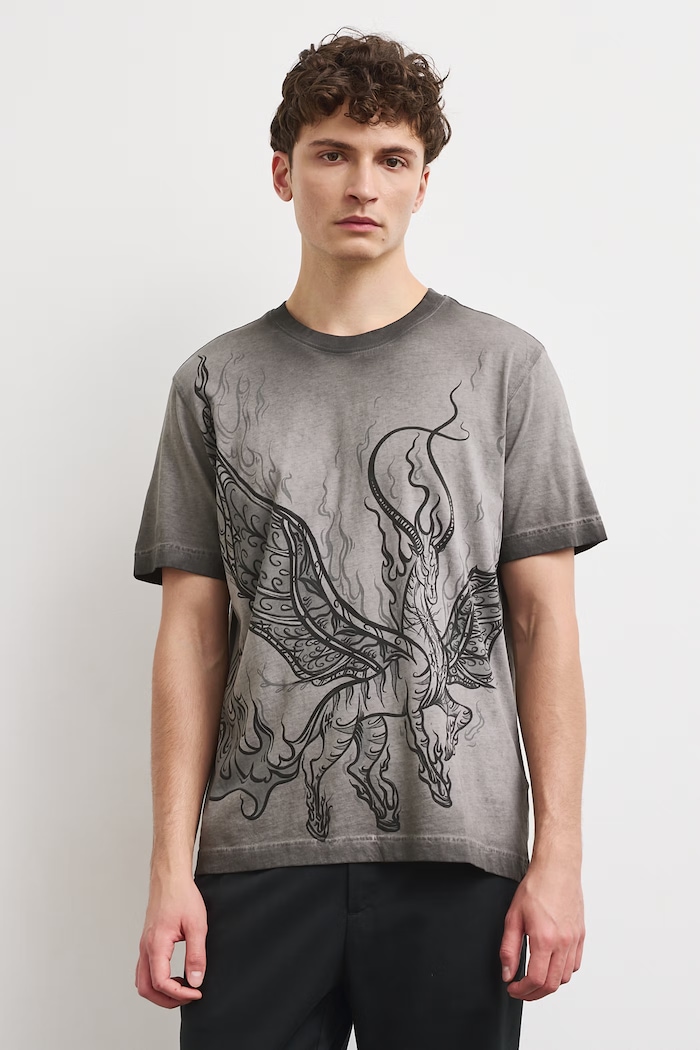 Medicine T-shirt męski bawełniany RW26-TSM857 szary RW26