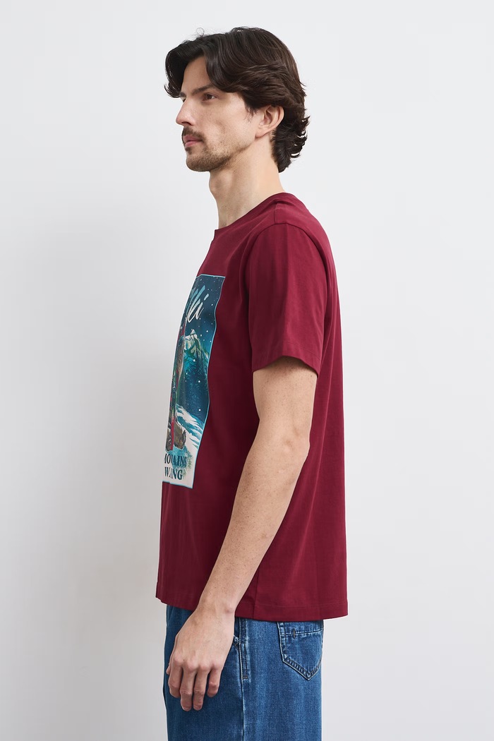 Medicine T-shirt męski bawełniany RW26-TSMA31 bordowy RW26