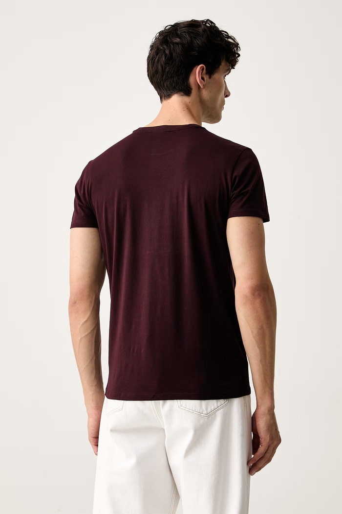 Одежда Lacoste футболка для мужчин из хлопка TH6709 бордо