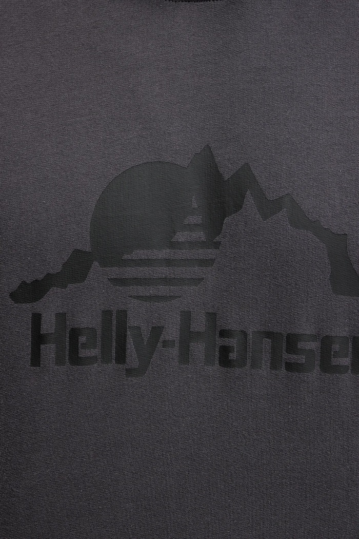 Helly Hansen mikina 62975 sivá