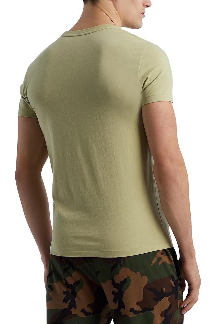 Oblečení Bavlněné tričko Polo Ralph Lauren 714830304013 vícebarevná