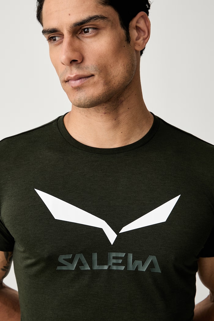 Salewa T-shirt trekkingowy męski Solidlogo Dry zielony 00.0000027018