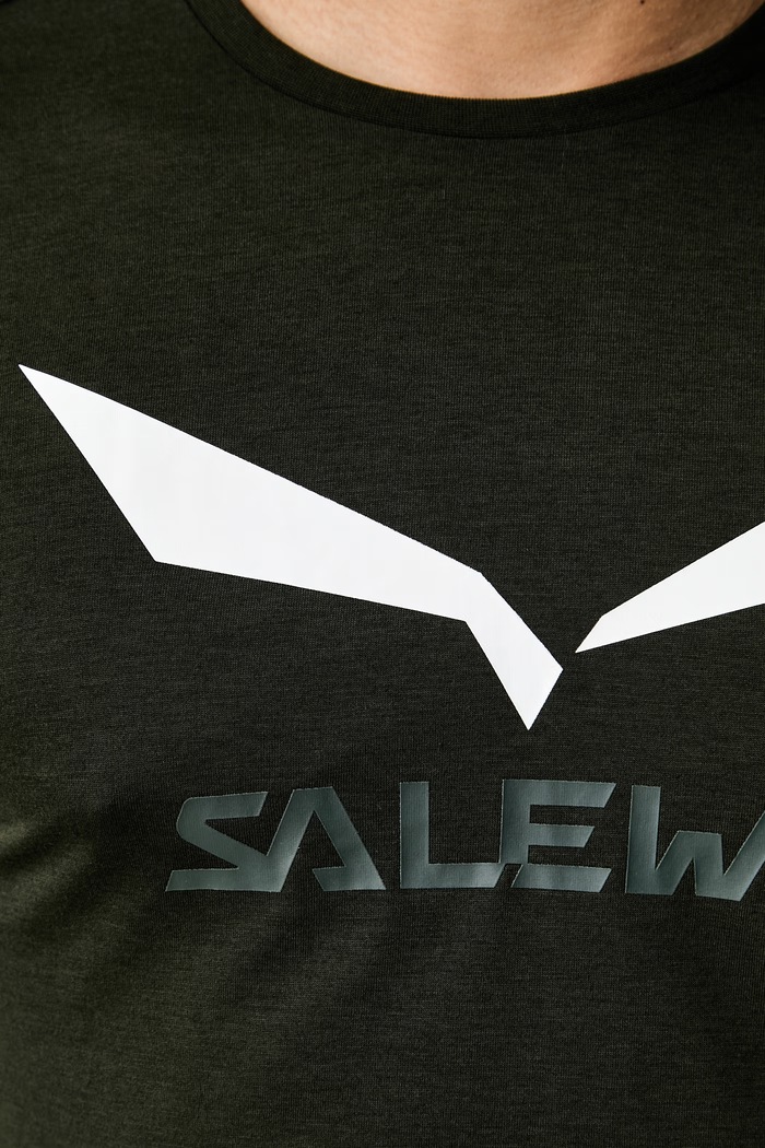 Salewa T-shirt trekkingowy męski Solidlogo Dry 00.0000027018 zielony