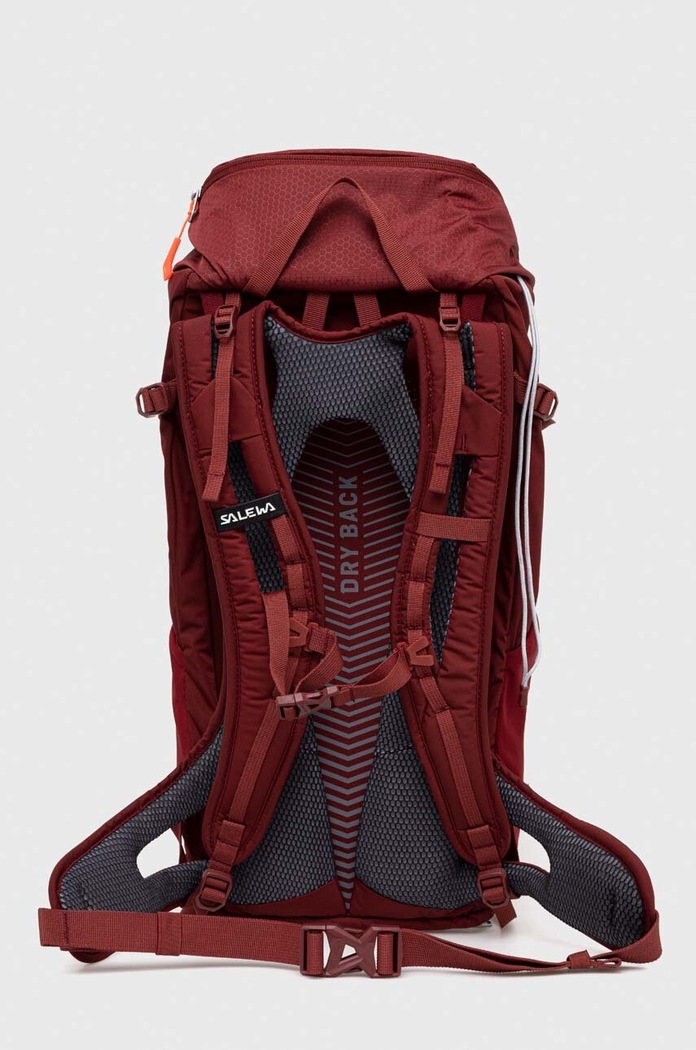 Αξεσουάρ Σακίδιο πλάτης Salewa Alp Mate 24 00.0000001426 μπορντό