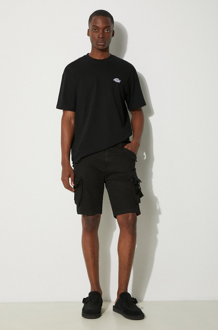 Хлопковая футболка Dickies DK0A4YAIBLK1 чёрный AW25
