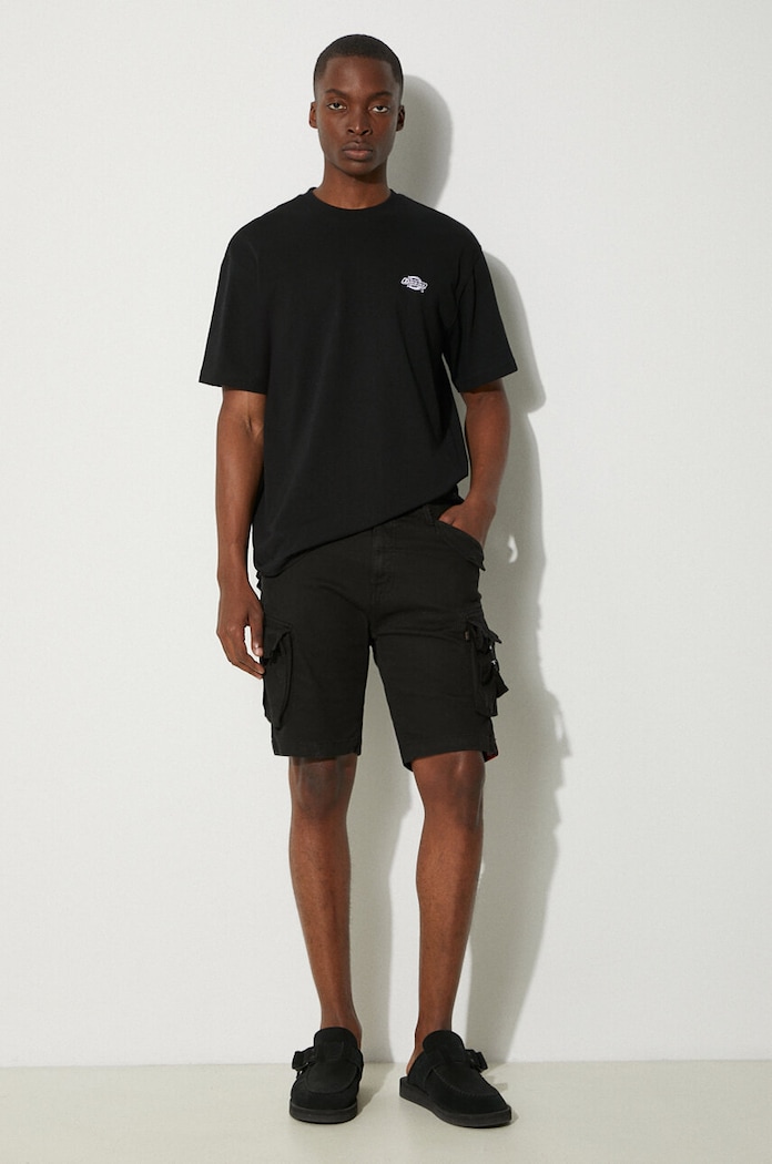 Хлопковая футболка Dickies DK0A4YAIBLK1 чёрный AW25