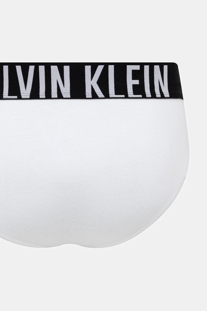 Calvin Klein Underwear slip gaće za muškarce 3-pack 000NB3607A plava