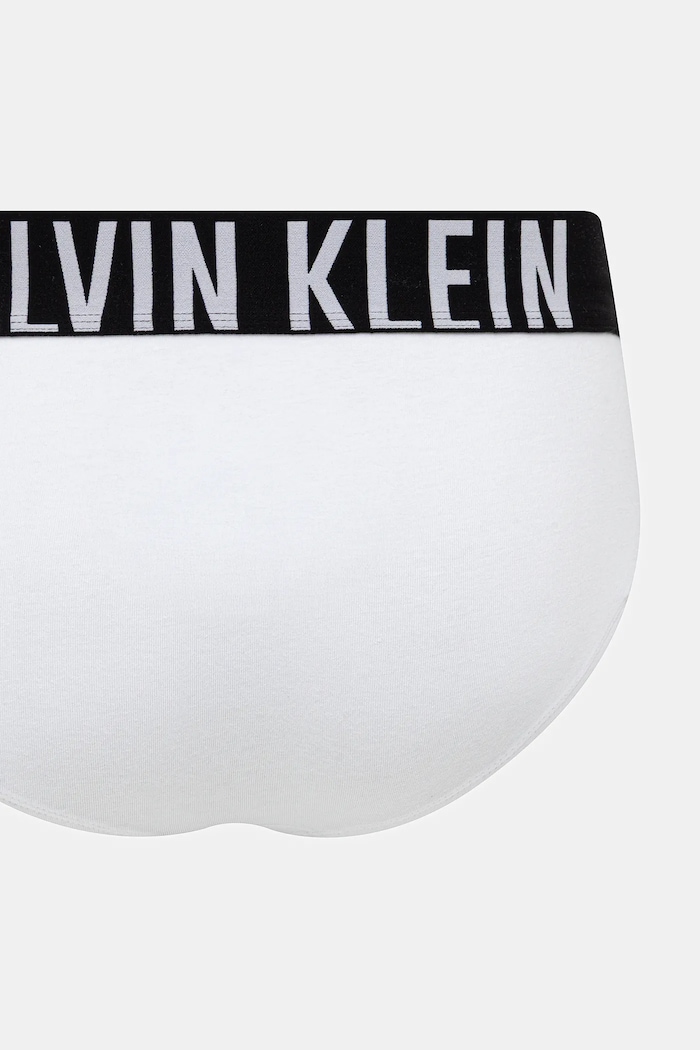 Calvin Klein Underwear slip gaće za muškarce 3-pack 000NB3607A plava