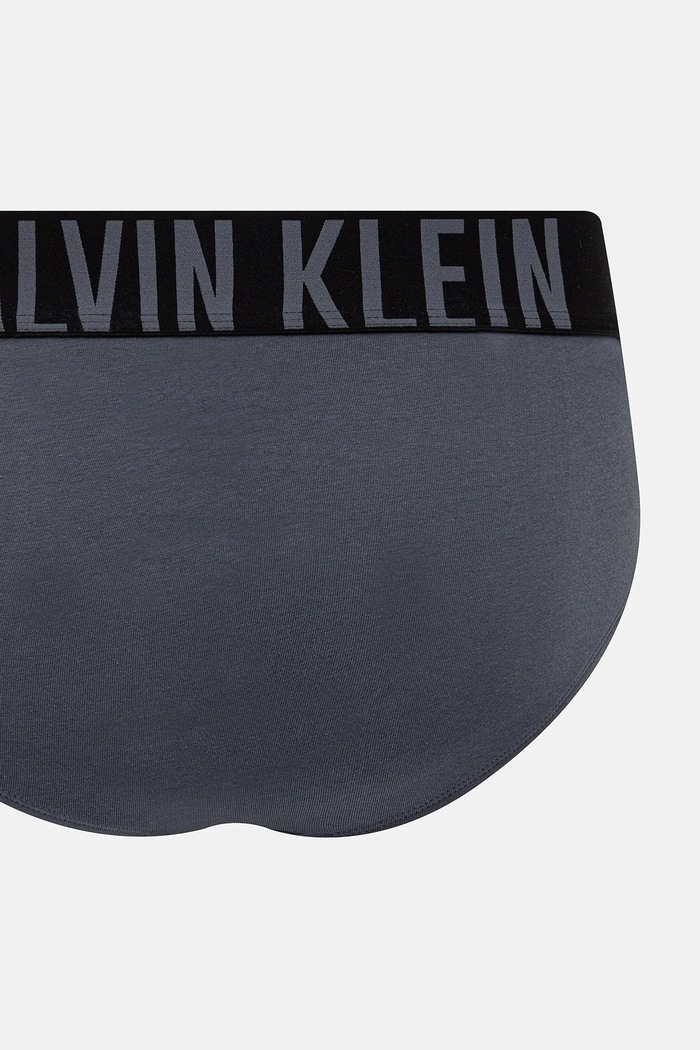 Calvin Klein Underwear slip gaće za muškarce 3-pack 000NB3607A