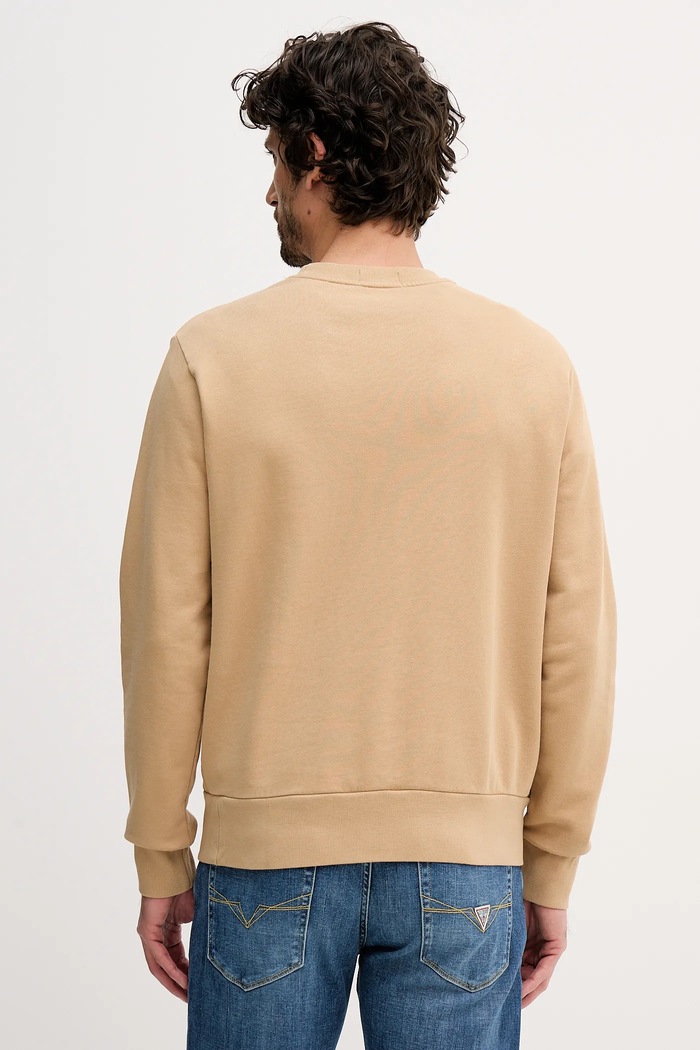 Oblačila Bombažen pulover Polo Ralph Lauren 710916689 bež