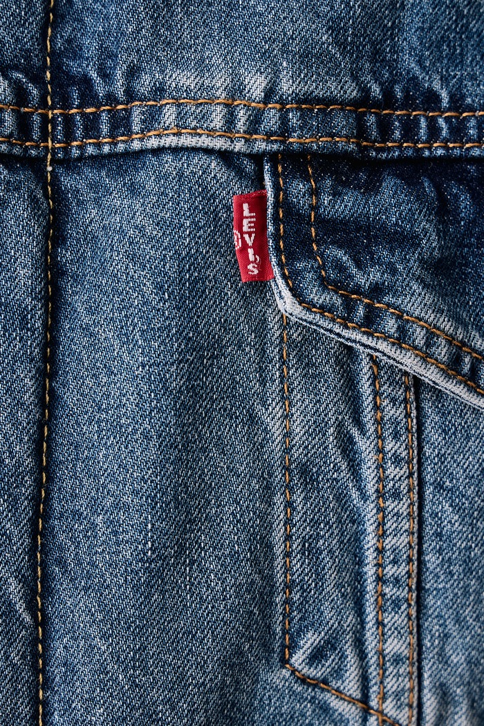 Krótka kurtka męska sztruksowa TYPE 3 SHERPA Levi's niebieski 16365
